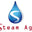 Steam Age Vape logo